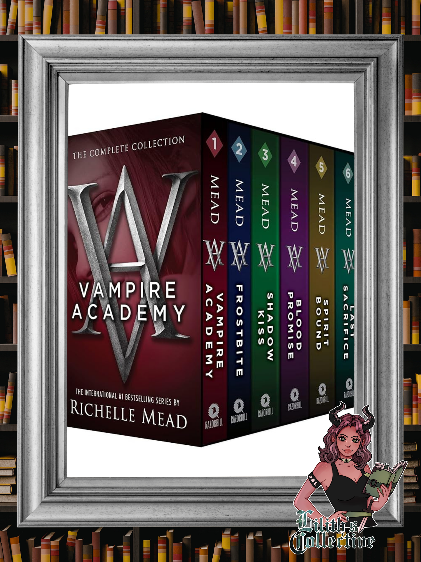 Vampire Academy Box Set 1-6
