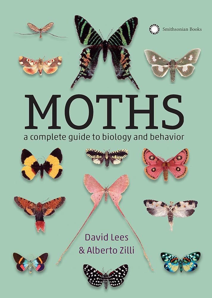 Moths: A Complete Guide to Biology and Behavior cover image