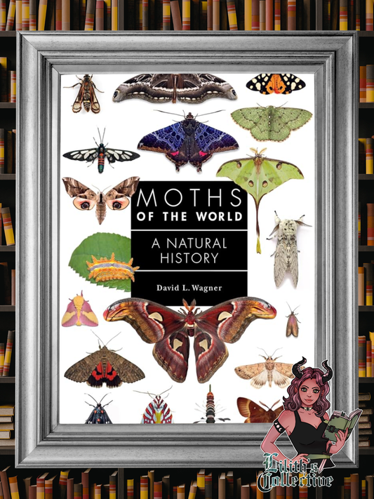 Moths of the World: A Natural History (A Guide to Every Family)