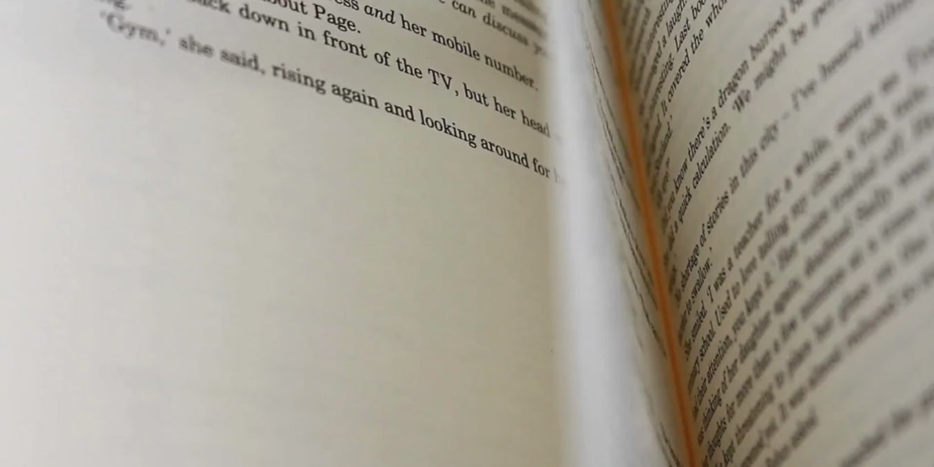 Load video: A video of someone flipping through a fantasy book quickly. 
